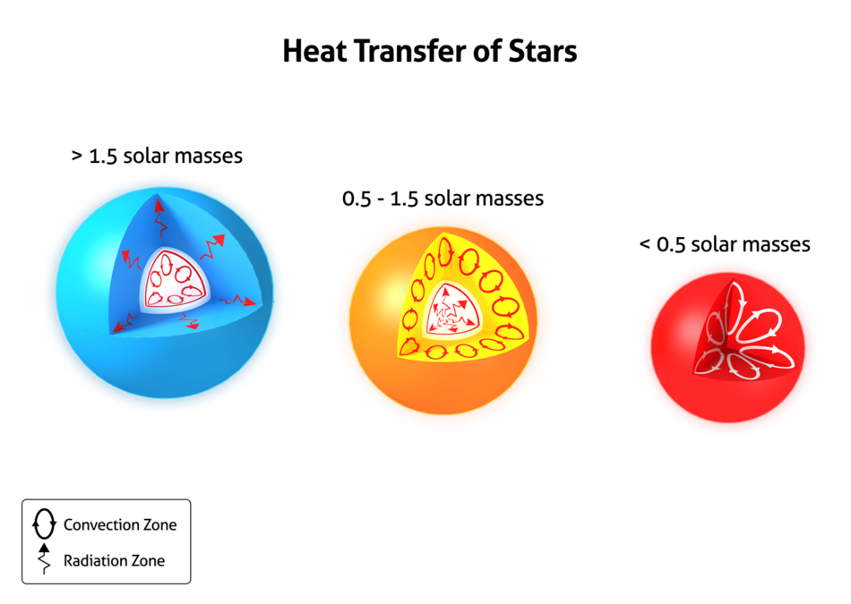 Heat Transfer in Stars