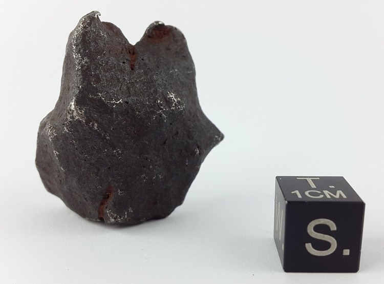 Sikhote-Alin 50.1 g