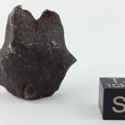 Sikhote-Alin 50.1 g