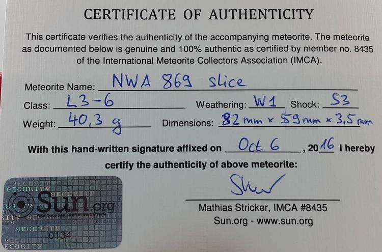 NWA 869 slice 40.3 g