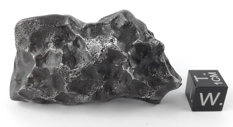 Sikhote-Alin 137.9 g