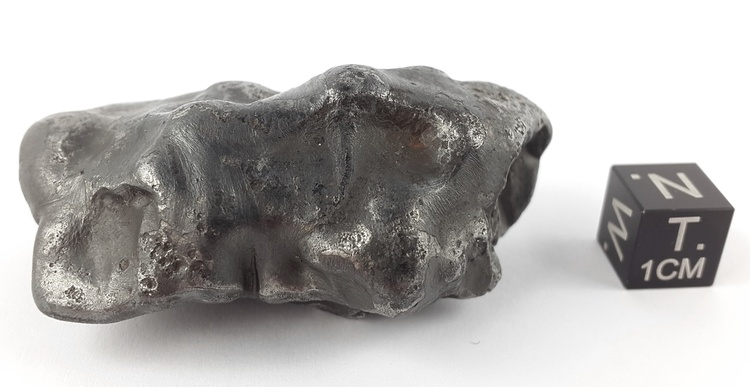 Sikhote-Alin 137.9 g