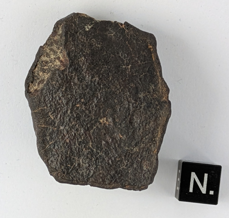 NWA XXX - 47.7 g - flugorientiert