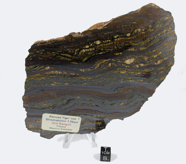Banded Iron Formation - 362.2 g