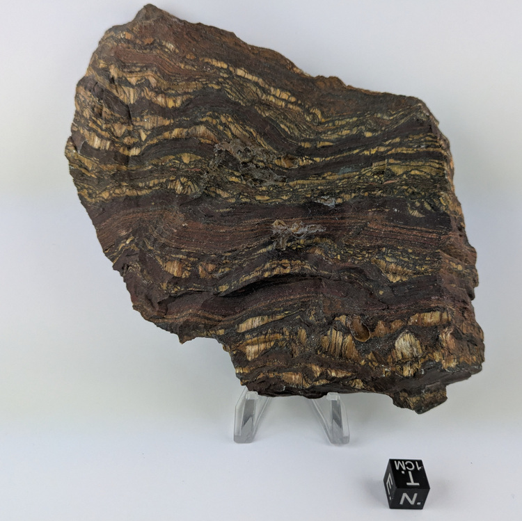 Banded Iron Formation - 362.2 g