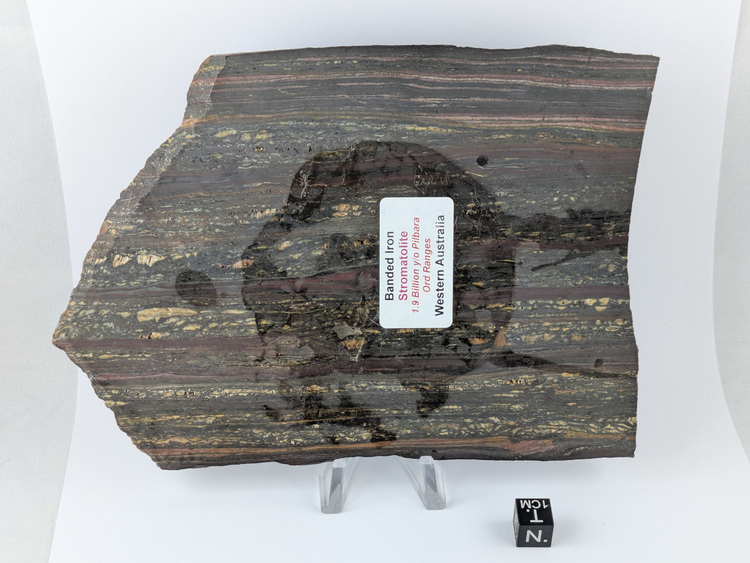 Banded Iron Formation - 401 g